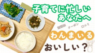 【忙しい家庭向け】夕食を作りたくない日はわんまいる宅配｜添加物・キャンペーン・口コミ紹介