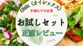 国産野菜も楽しめる!宅配Oisix(オイシックス)お試しセット1980円実食レビュー|中身・口コミ