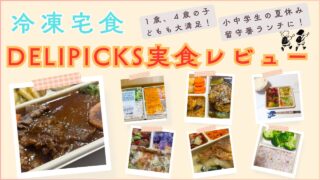 DELIPICKS実食レビュー|1歳・4歳の子どもから夏休みの留守番ランチに小学生・中学生まで大満足